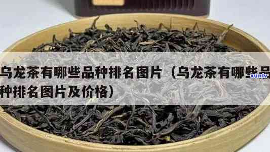 马龙茶是什么？详解其种类与口感