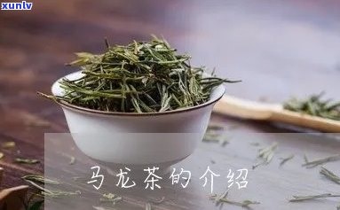 马龙茶的功效和作用-马龙茶的功效和作用及禁忌