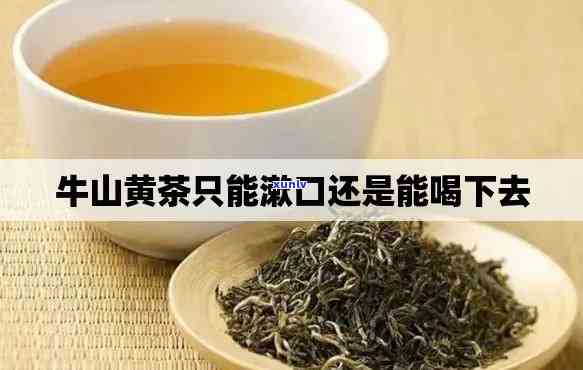 黄牛茶的功效与作用是什么，探秘黄牛茶：详解其功效与作用