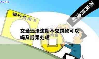 '逾期未交交通罚款怎么办？怎样解决？'