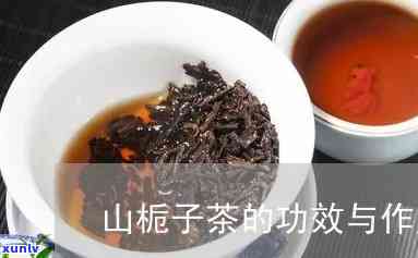 枝子茶的功效与作用-枝子茶的功效与作用及禁忌