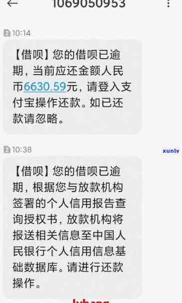 发逾期3天，现在要我全额还款，有什么解决办法？