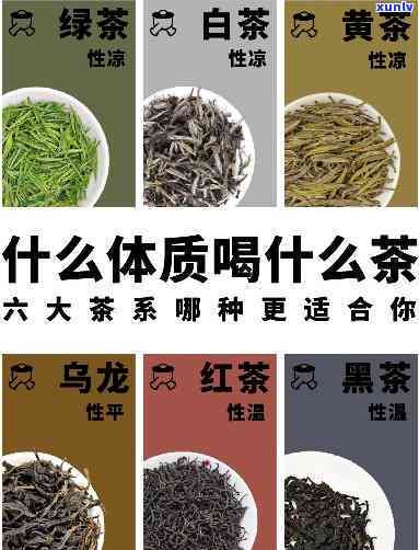 各种茶及功效大全：详细介绍每种茶的功效与禁忌