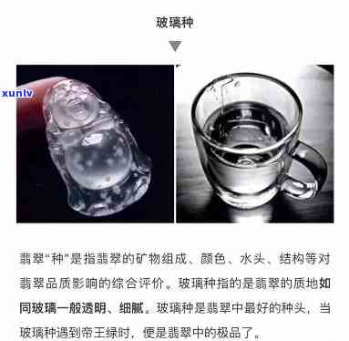 冰种与玻璃：全面解析其区别