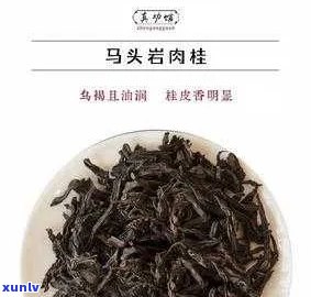 马肉茶的功效与作用-马肉茶的功效与作用及禁忌