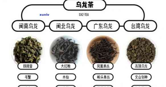 青茶的代表茶有哪些类型？请看图片展示