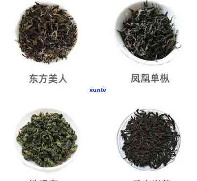 青茶的主要代表茶类-青茶的主要代表茶类是