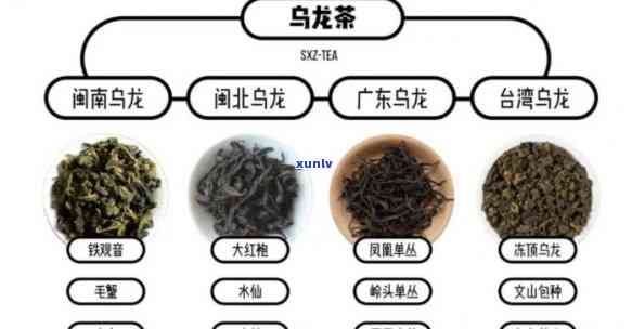 青茶的主要代表茶类-青茶的主要代表茶类是