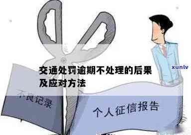 国交通罚款逾期会有什么结果？逾期解决方法是什么？