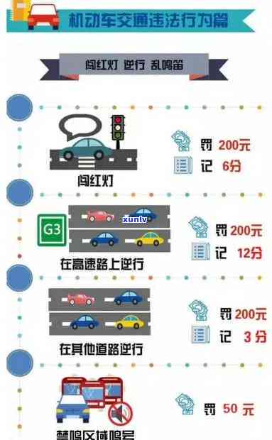 国交通违法怎么解决，解析国交通违法解决方法与处罚标准