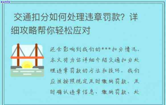 国交通违法怎么解决，解析国交通违法解决方法与处罚标准