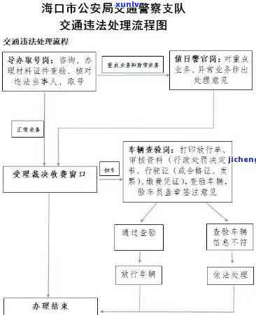 国罚款通知方式及处理流程详解