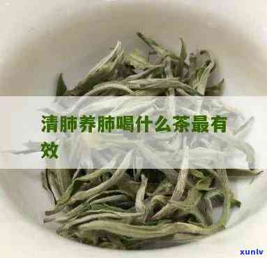 清肺茶有哪些，了解清肺茶：种类与功效全解析