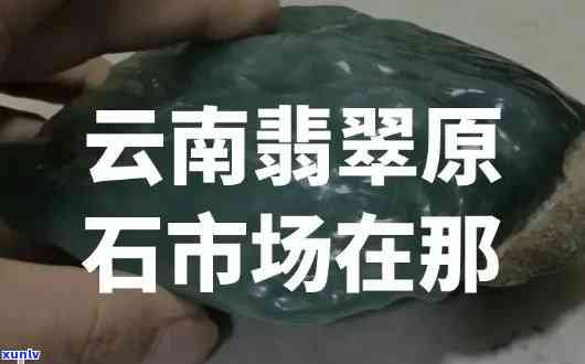 普洱怎么泡喝：视频教学与技巧探究