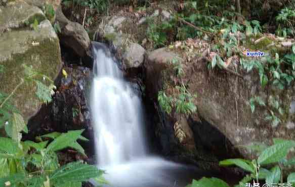 羽煮茶：探究水源——上水的选择