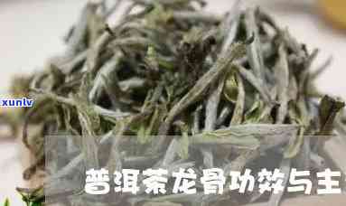 全面解析：节骨茶的功效、作用及禁忌