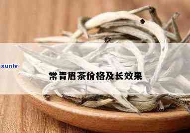 常青茶的功效与作用：全面解析与适用人群