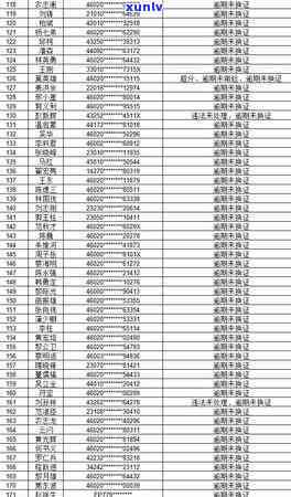 揭秘龙塘料翡翠的绝世魅力