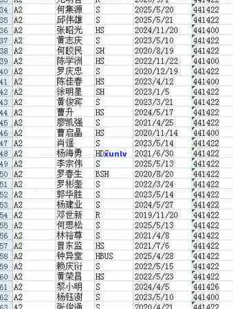 揭秘龙塘料翡翠的绝世魅力