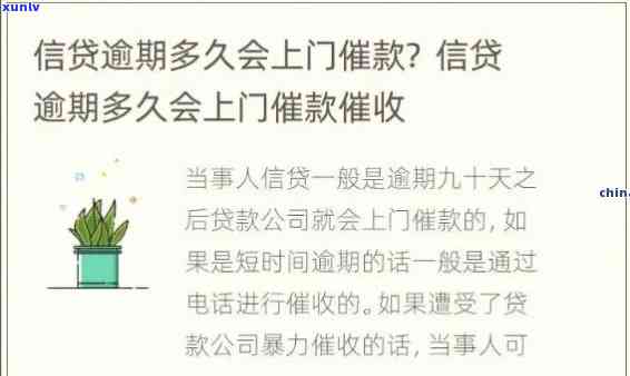 揭秘龙塘料翡翠的绝世魅力