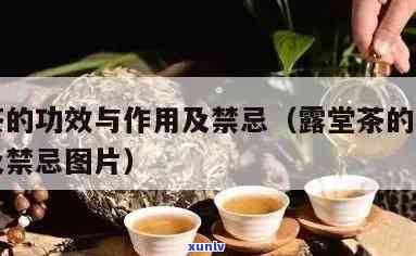 露堂茶的功效与作用-露堂茶的功效与作用及禁忌