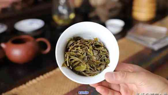 冰岛古树茶什么味？口感特点解析