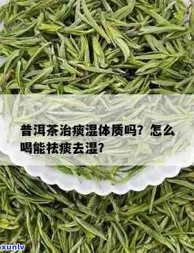 痰湿体质的人喝什么茶可以祛痰，推荐！痰湿体质人群适合饮用的祛痰茶，赶快来试试吧！