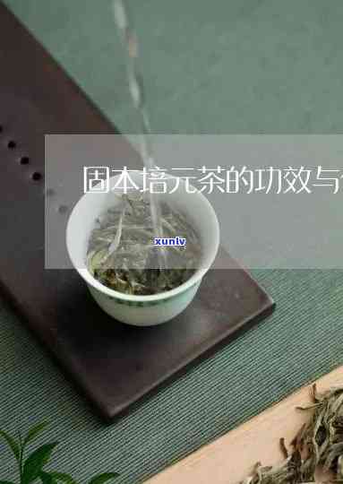 培元茶的功效与作用是什么，探究培元茶的神奇功效与作用！