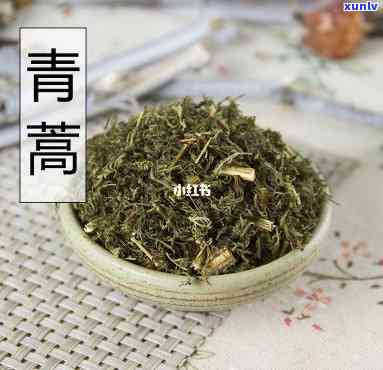 青蒿茶的功效与作用，探索青蒿茶的神奇功效与作用，了解其对健的益处