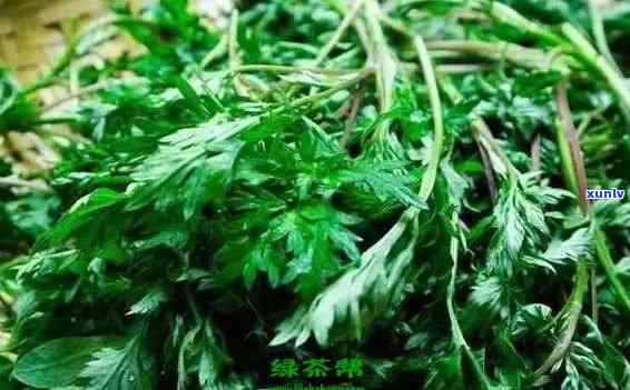 蒿茶的功效与作用解析：揭示其保健价值与饮用 *** 