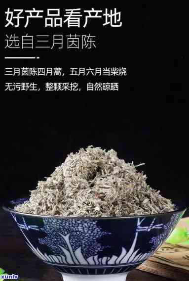 白蒿茶的功效和作用-白蒿茶的功效和作用及禁忌