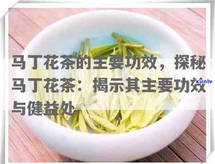 马丁茶的功效与作用及禁忌，探秘马丁茶：功效、作用和使用禁忌全解析