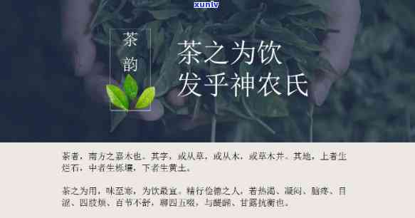 神农茶的功效与作用-神农茶的功效与作用及禁忌