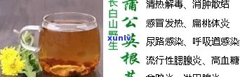 全面解析：公英根茶的副作用、功效及禁忌