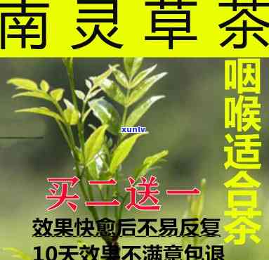 南灵草茶：功效、作用及禁忌全解析