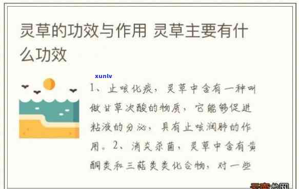 南灵草茶：功效、作用及禁忌全解析