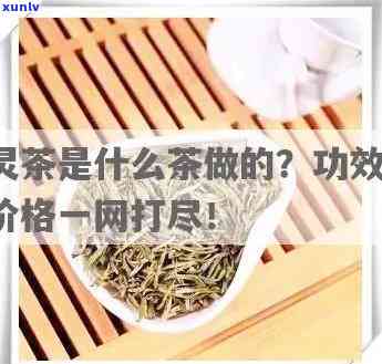 南灵茶的功效与作用-南灵茶的功效与作用及禁忌