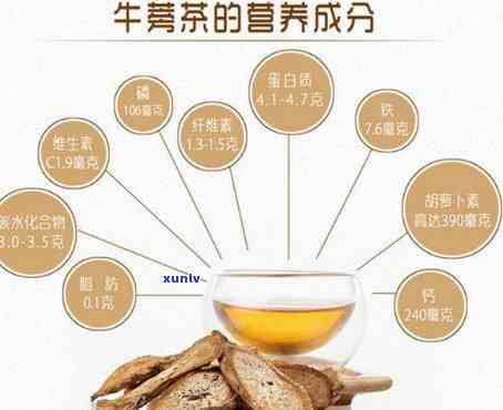 牛蒡茶的功效：作用、禁忌全面解析