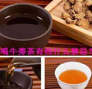 牛蒡茶的疗效、作用与禁忌全解析