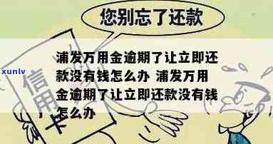 浦发万用金逾期让立即还款，无钱应对？多久会请求一次性结清？