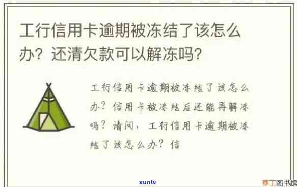 交通银行逾期解冻流程，详细解读：交通银行逾期解冻流程步骤与留意事