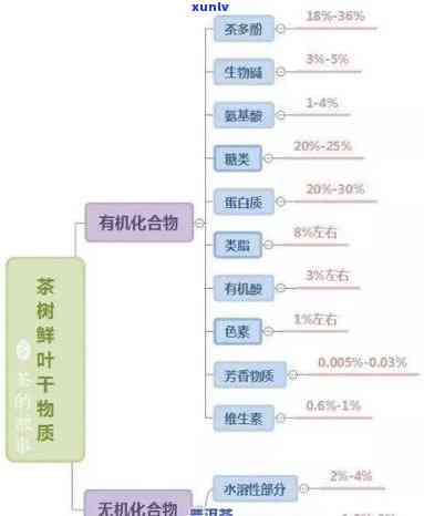 2号茶的功效与成分解析：揭开神秘面纱