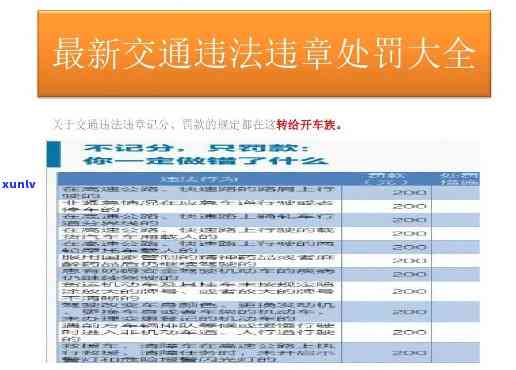 交通罚款逾期追缴规定及其最新文件