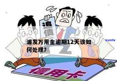 浦发逾期有万用金怎么办？解决办法及办理流程解析