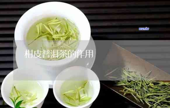 全皮茶的功效与作用及禁忌症，全面解析全皮茶：功效、作用和使用禁忌