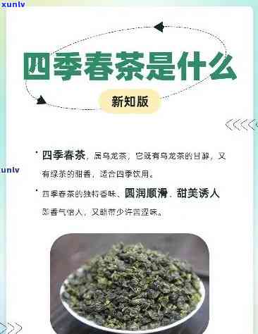 回春茶的功效与作用是什么意思，探秘“回春茶”的功效与作用