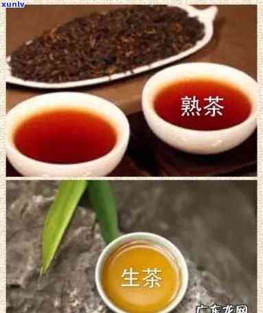 熟茶的功效与作用：详解熟普洱茶与生茶的区别及各自的好处