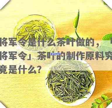 什么是将军茶？详解其种类与类别