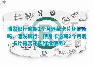 浦发逾期一天还款后，能否继续刷卡？安全性怎样？