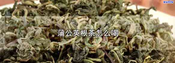 公英茶的图片作用-公英茶图片的功效与作用